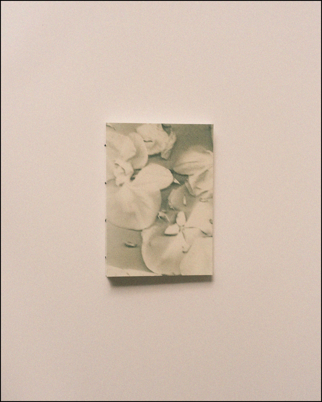Book Insert — Fleur d’ÂME