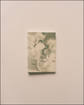 Book Insert — Fleur d’ÂME