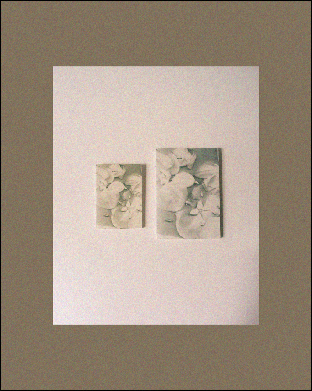 Book Insert — Fleur d’ÂME