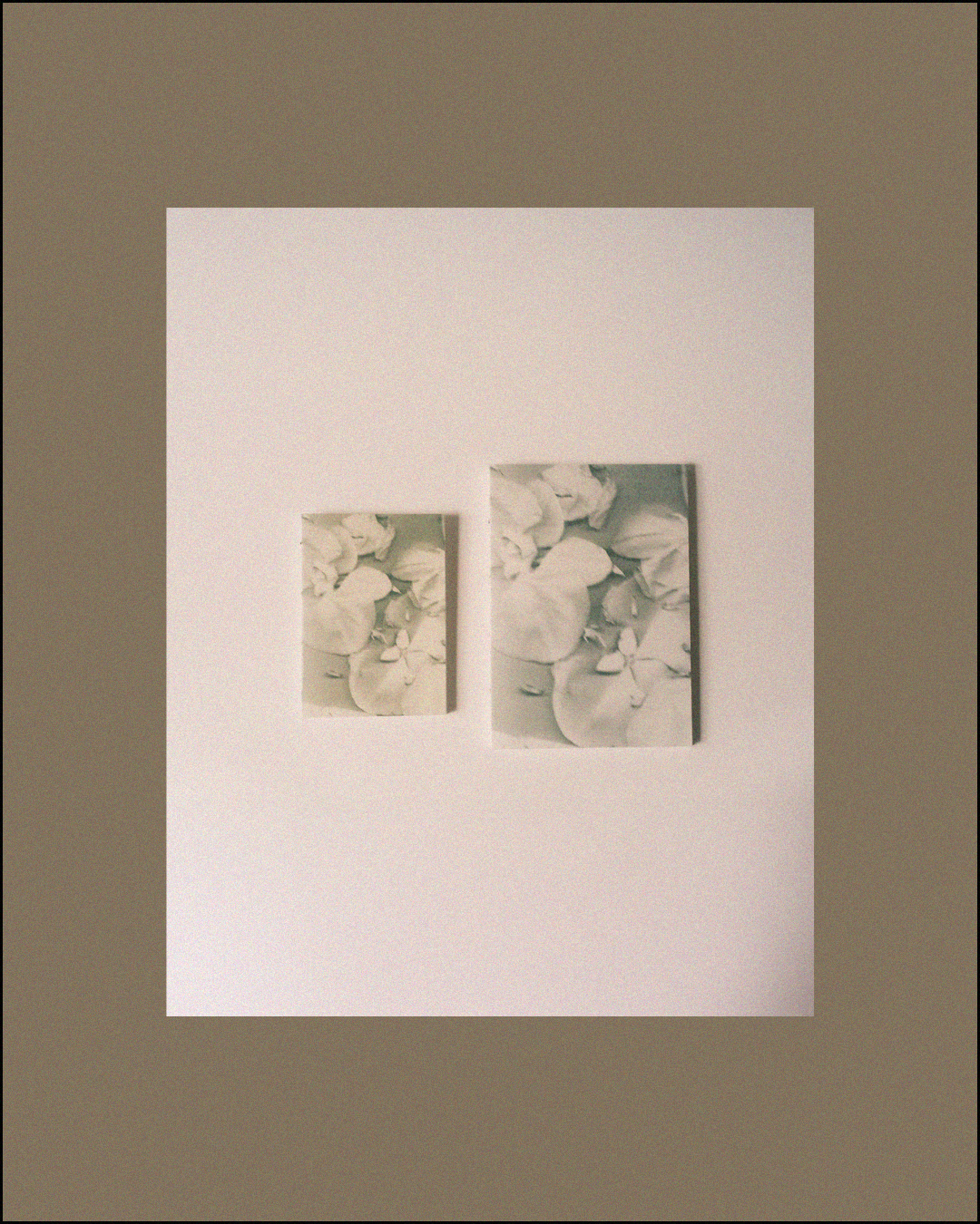 Book Insert — Fleur d’ÂME